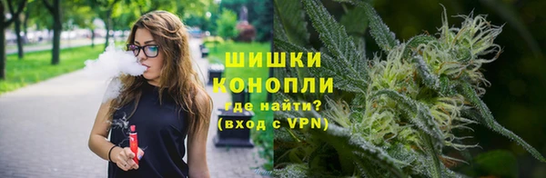 PSILOCYBIN Алексеевка