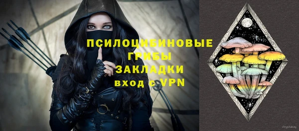 PSILOCYBIN Алексеевка